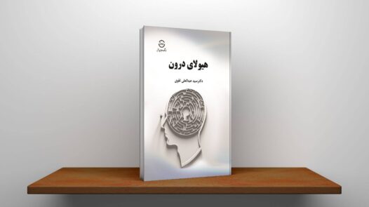 کتاب آمریکا، افغانستان پس از فروپاشی جمهوریت