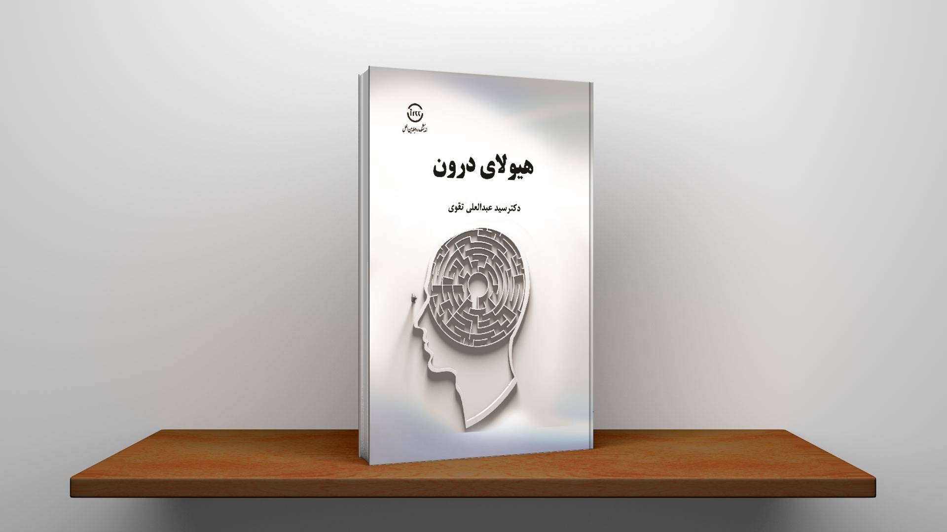 کتاب آمریکا، افغانستان پس از فروپاشی جمهوریت